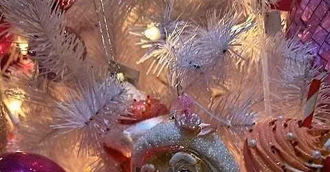 Service Day at St. Vincent de Paul