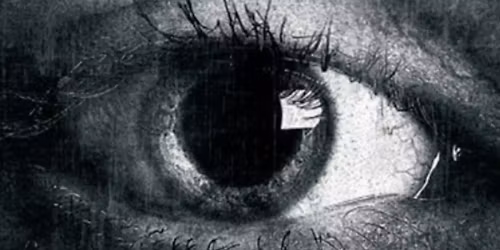 Bliss in Baton Rouge