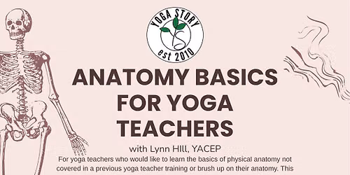 Anatomy Basics for Yoga Teachers