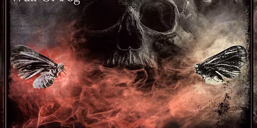 Merely Mortals, Insect Lounge, Wall Of Fog