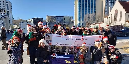Annual Downtown St. John's Christmas Parade - Walking in a Wiener Wonderland