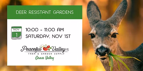 Deer Resistant Gardens