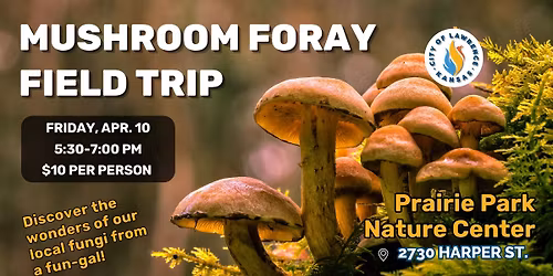 Mushroom Foray Field Trip