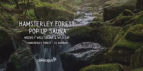 Hamsterley Forest Wild Sauna & Waterfall Swims (2026)