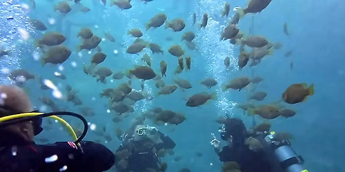The Underwater Adventures Dive Crew Monthly Meeting