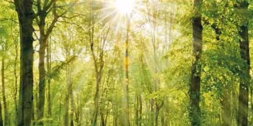 Loss, Grief and Bereavement