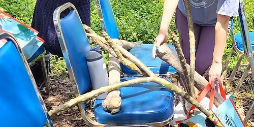 Plumeria Pruning Workshop - Join us!