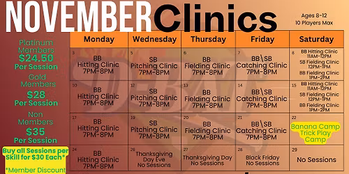 Baseball Hitting Clinic