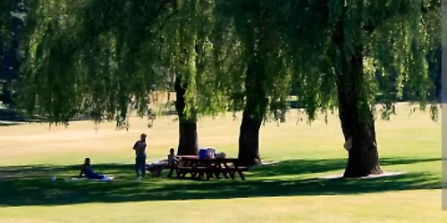 FAMILY REUNION 2026 Ripp,Roane,Brood