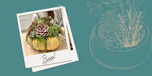 Workshop: Succulents w\/Jules