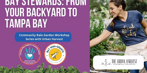 Bay Stewards: From Your Backyard to Tampa Bay