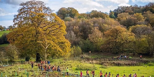 LOFT Tree Planting 2025  | 14th November