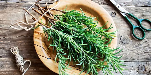 March Bantaba: Rosemary Reverie \u2013 A Celebration of Scent & Wellness