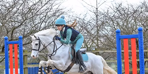 Show Jumping with Natasha Pirie Morrell