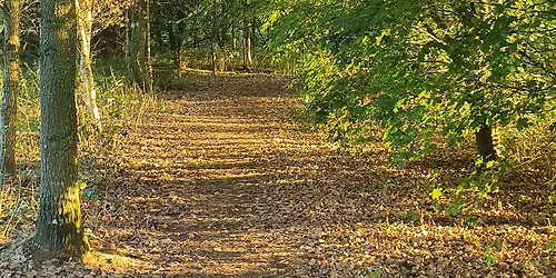 Coping with  Holiday stress workshop