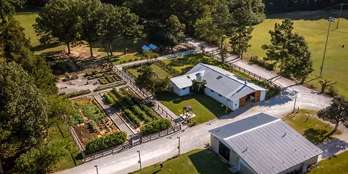 Farm Park Wilderness Summer Camp