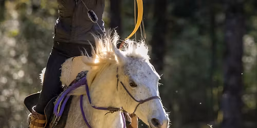 One Day WFEA Competition April 26