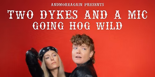 Two Dykes and a Mic at The Wilbur