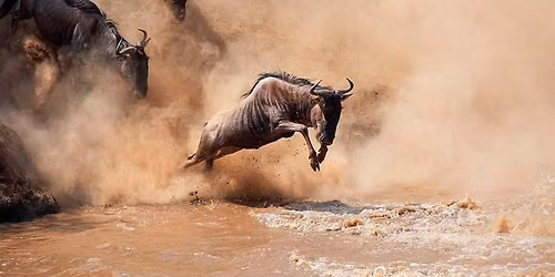 6-Day Tanzania Camping/lodge Safari $920 — olasiti, Arusha, Tanzania