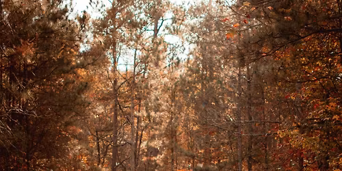 DESTINATION UNKNOWN - AUTUMN