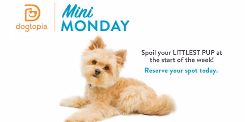 Mini Monday