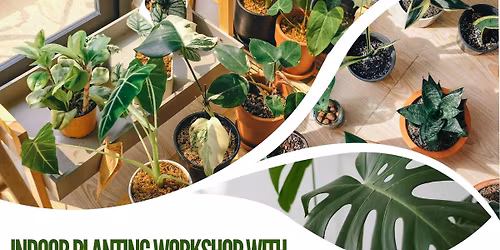 Indoor Planting Workshop with the Blackstone Valley Veggie Gardens