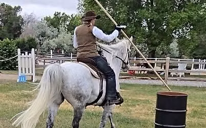 Moonrock Working Equitation Licenced Shows