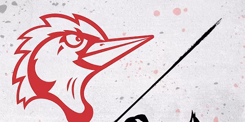 Hickory Crawdads at Lynchburg Hillcats at Bank of the James Stadium