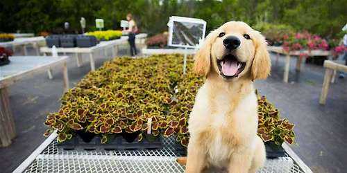 3-14-2026 Pets & Plants