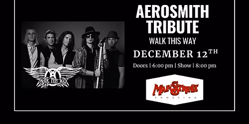Aerosmith Tribute called Walk This Way | LIVE at Main Street Crossing