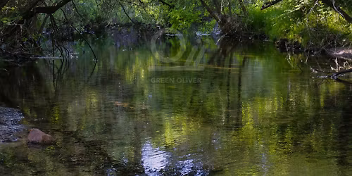 \u03a3\u0391\u0392. 06\/12: GREEN \u03a0\u0395\u0396\u039f\u03a0\u039f\u03a1\u0399\u0391 \u03a3\u03a4\u039f \u03a1\u0395\u039c\u0391 \u03a0\u03a1\u03a9\u03a4\u039f\u039c\u0391\u0393\u0399\u0391\u03a3! 