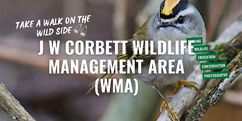 Take a Walk on the Wild Side at J W Corbett Wildlife Management Area