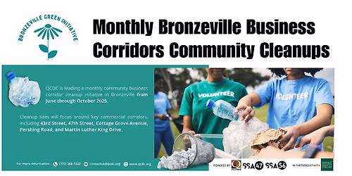 Bronzeville Business Corridors Community Cleanup