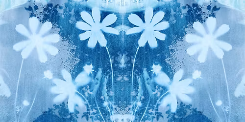 Floral Cyanotypes: Sunprints! (7 - 14 years) | Summer Holidays