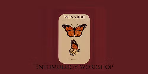 July Entomology Workshop - Monarch Butterfly