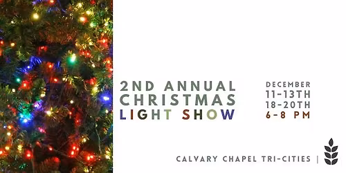 Christmas Light Show