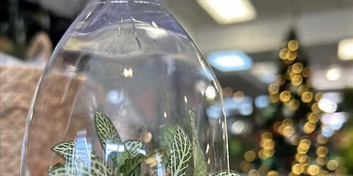Holiday Terrarium Ornament Workshop