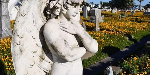 WEEKDAY: HISTORIC CEMETERY SUNSET TOUR as seen on Texas Country Reporter