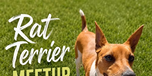 Rat terrier meetup! - Terwilliger Dog Park- river beach