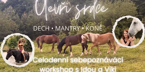 Otev\u0159i srdce \ud83d\udc9a celodenn\u00ed workshop sebepozn\u00e1n\u00ed s kon\u011bm