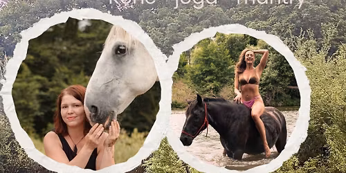 Otev\u0159i srdce \ud83d\udc9a celodenn\u00ed workshop sebepozn\u00e1n\u00ed s kon\u011bm