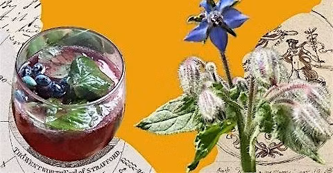 Summer Foraging With Tapas @ Tiddenfoot Lake