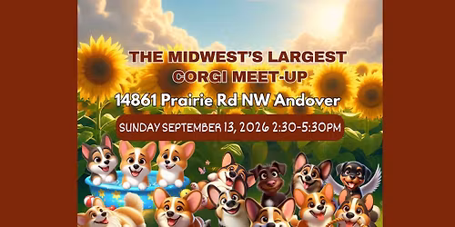 The Midwest's Largest Corgi Meet-up