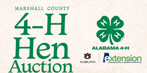 4-H Chick Chain Hen Auction