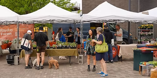 Northern Liberties Farmers Market