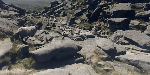 THENUFFSAIDCLUB- KINDER LOW, MAM TOR AND LOSE HILL