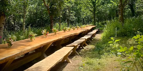 Summer Open Days in Pigwiggen Wood, 2026