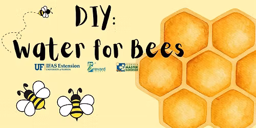 DIY: Water for Bees