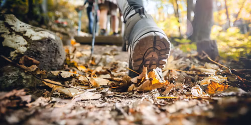 Forest Bathing with the Strawberry Moon Energy