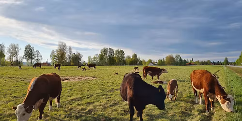 V\u00c4RNA KORNA, MARKEN OCH MATEN i beredskaps- och omst\u00e4llningstider